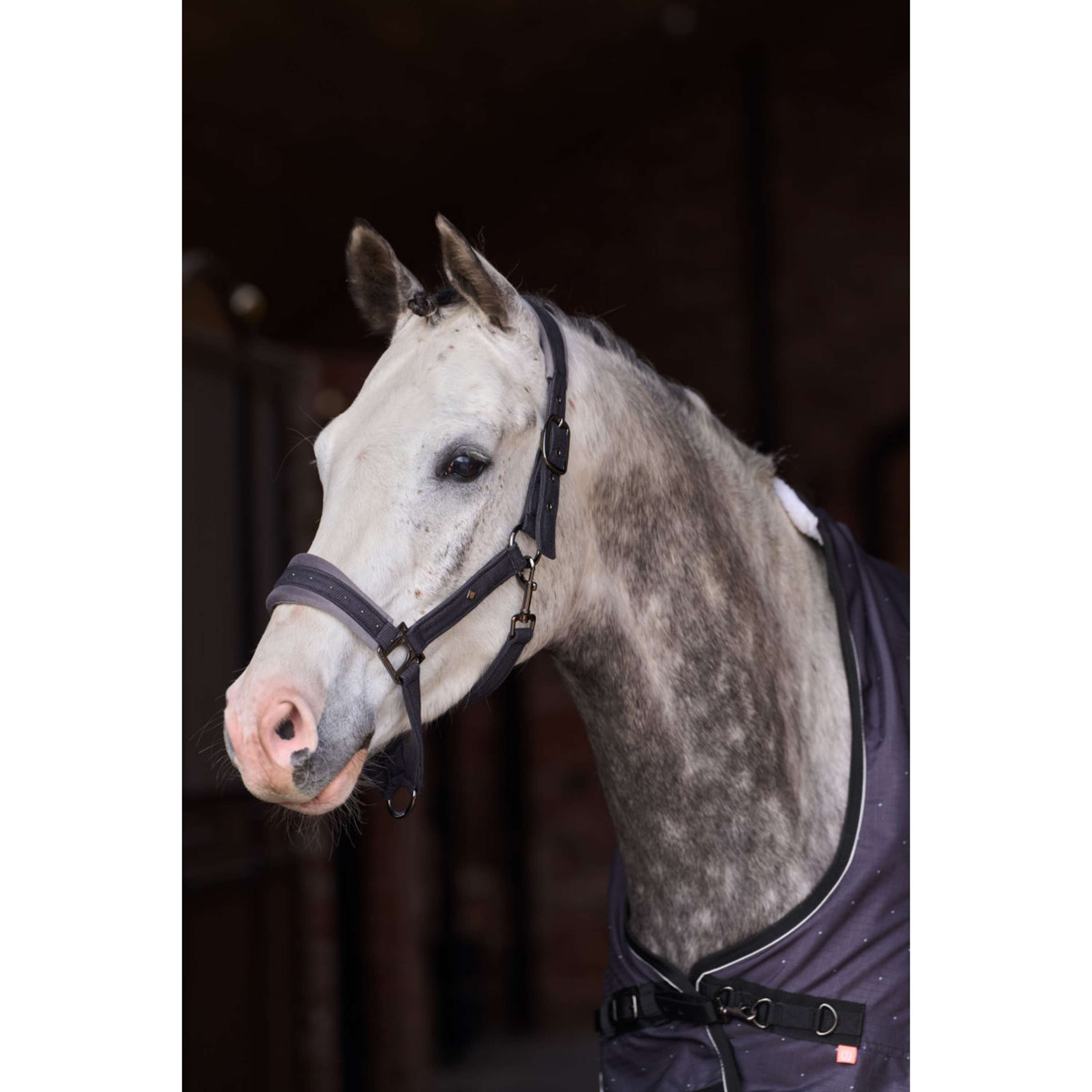 Imperial Riding Cavezza IRHPenny Herringbone Grigio