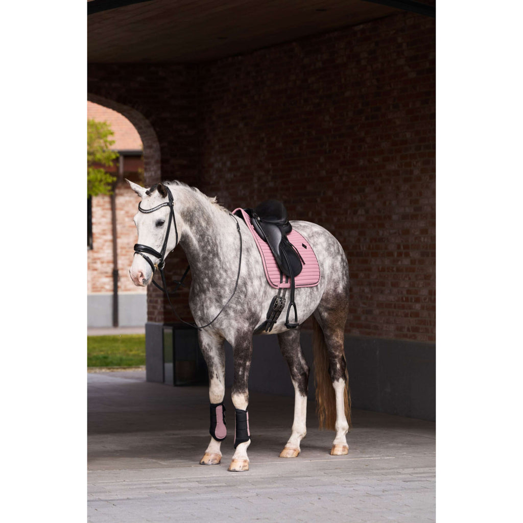 Imperial Riding Stivali da dressage IRHCloud Dancer Mauve