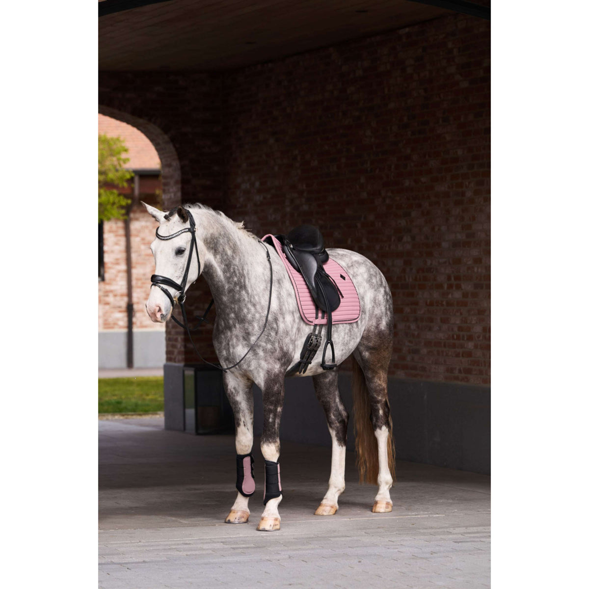 Imperial Riding Stivali da dressage IRHCloud Dancer Mauve