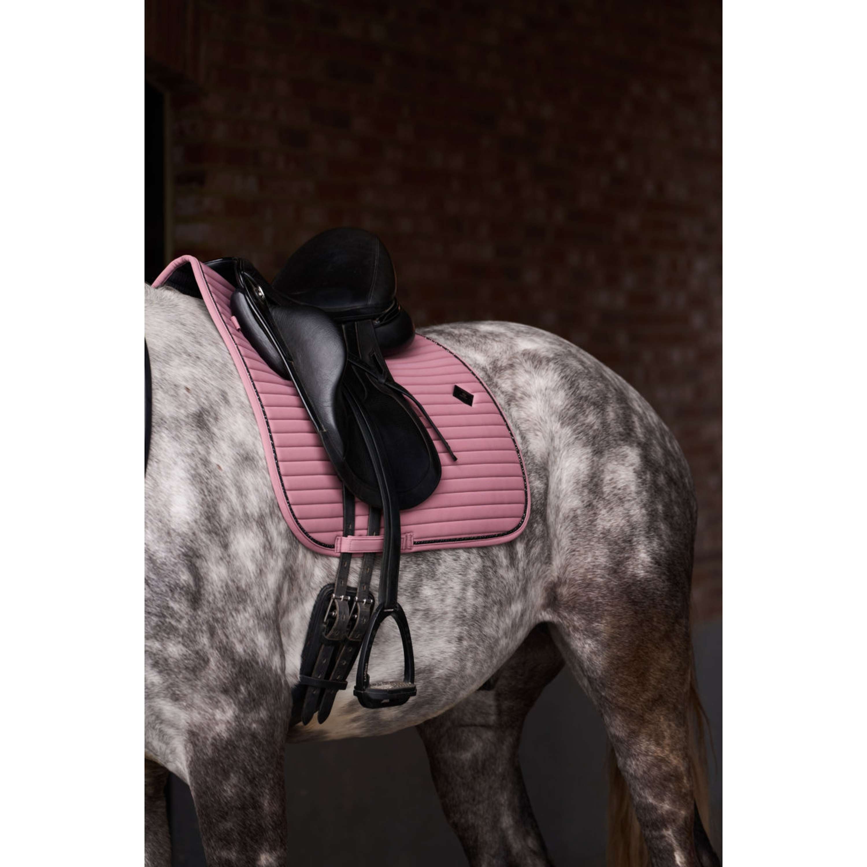 Imperial Riding Sottosella IRHJosie Dressage Mauve