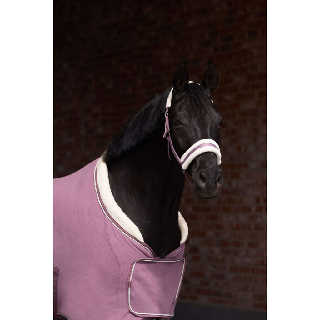 Imperial Riding Cavezza IRHJewel Mauve