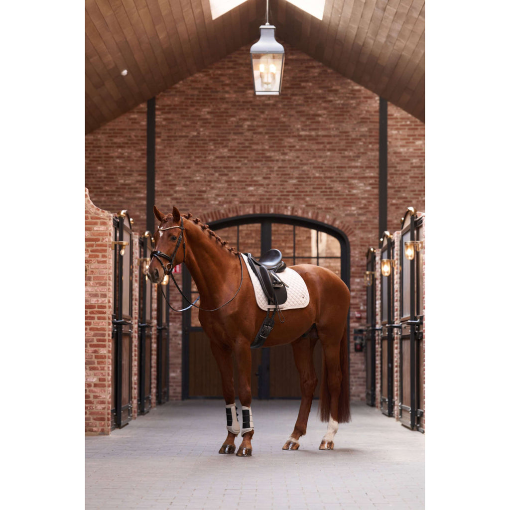 Imperial Riding Sottosella IRHPenny herringbone Dressage Taupe