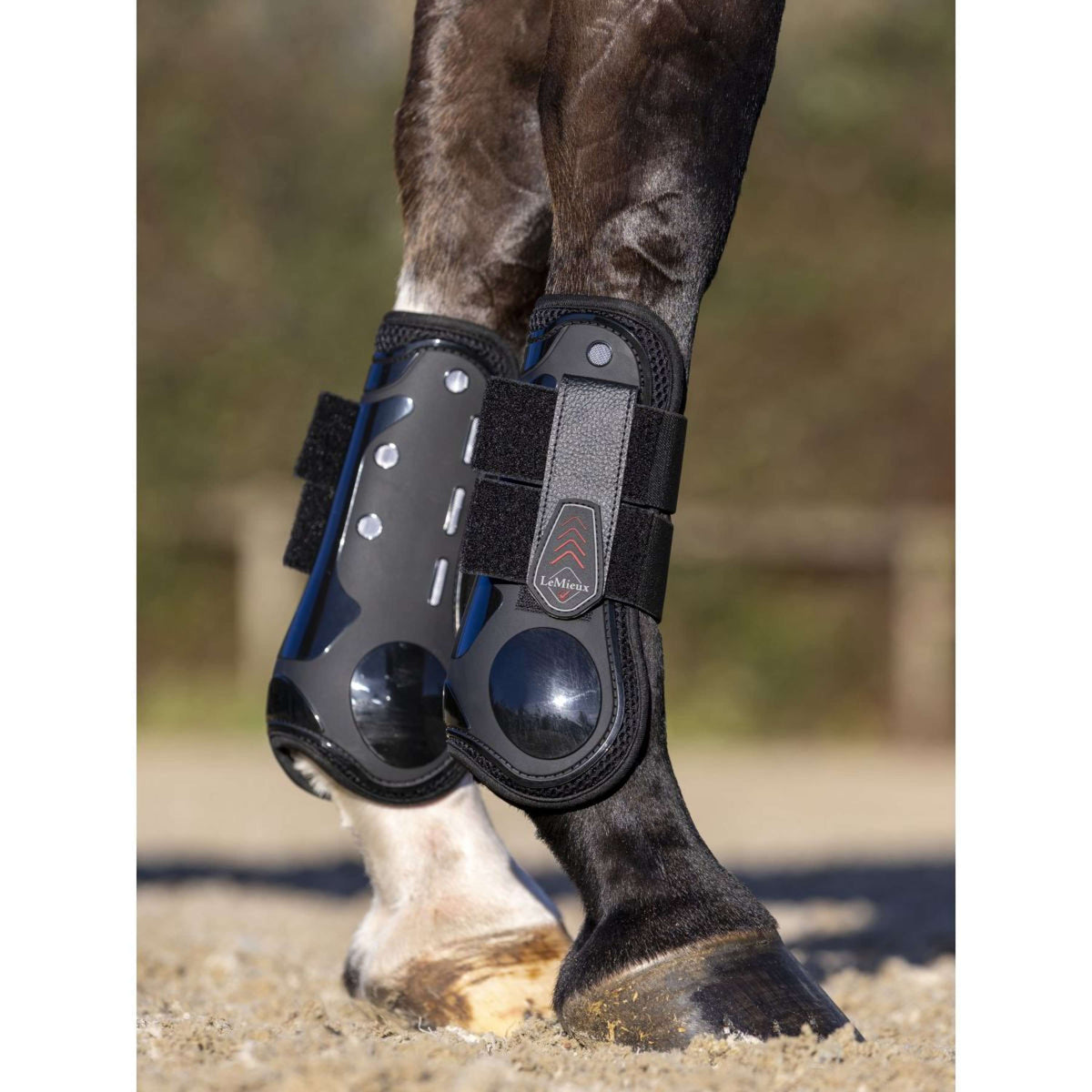 LeMieux Stinchiere Derby ProJump Nero