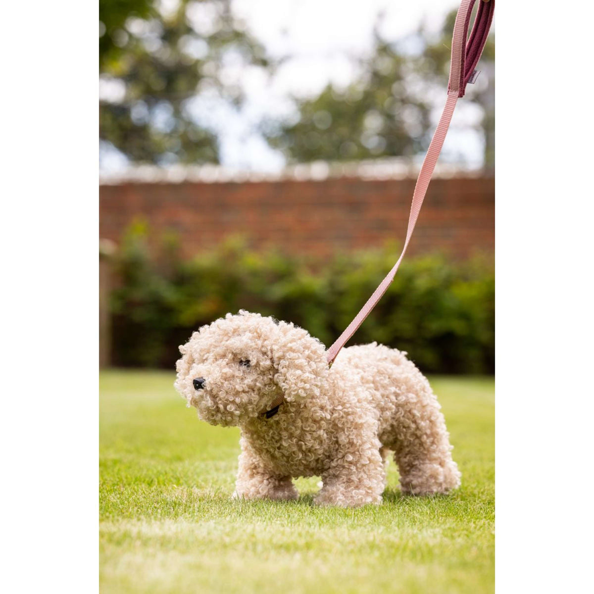 LeMieux Giocattoli Hond Cockapoo Beige