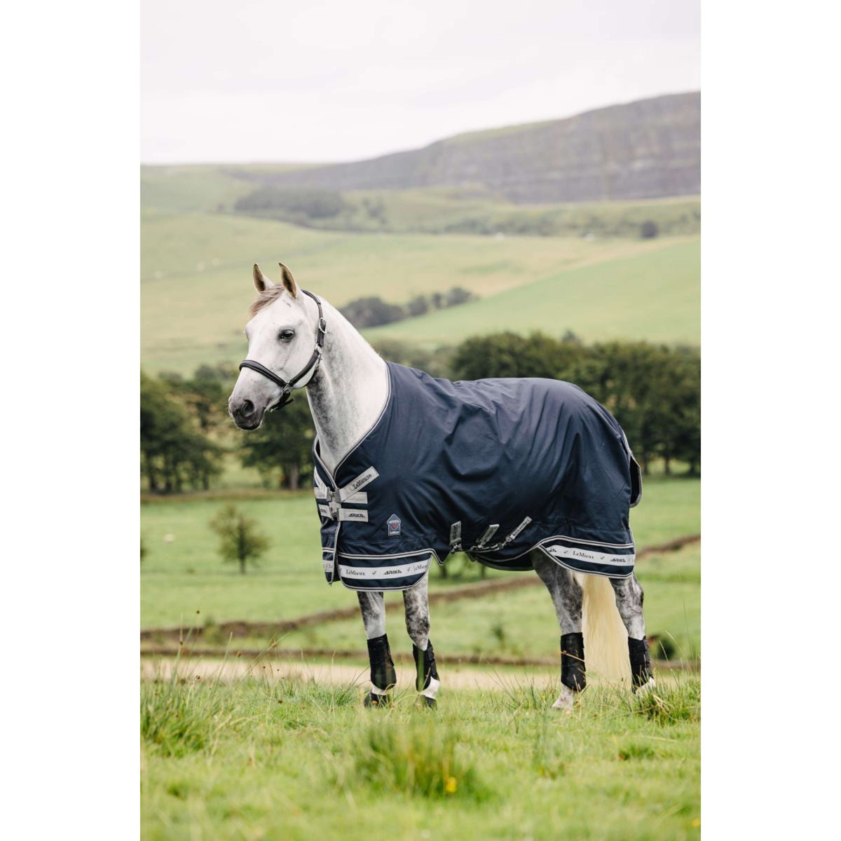 LeMieux Tappeto Arika Storm-Tek Turnout 100g Navy