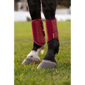 LeMieux Parastinchi Arika Brace