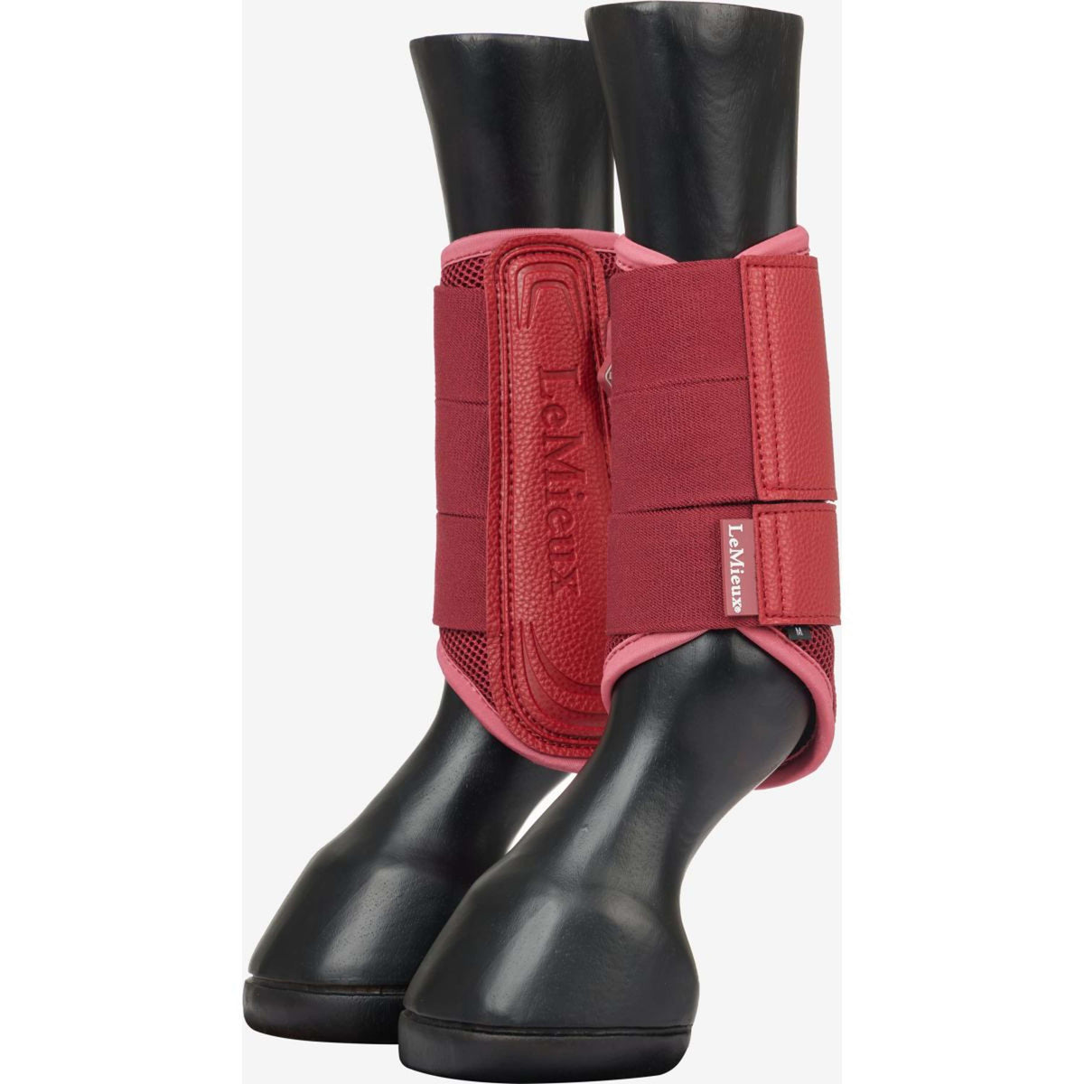 LeMieux Parastinchi Arika Brace