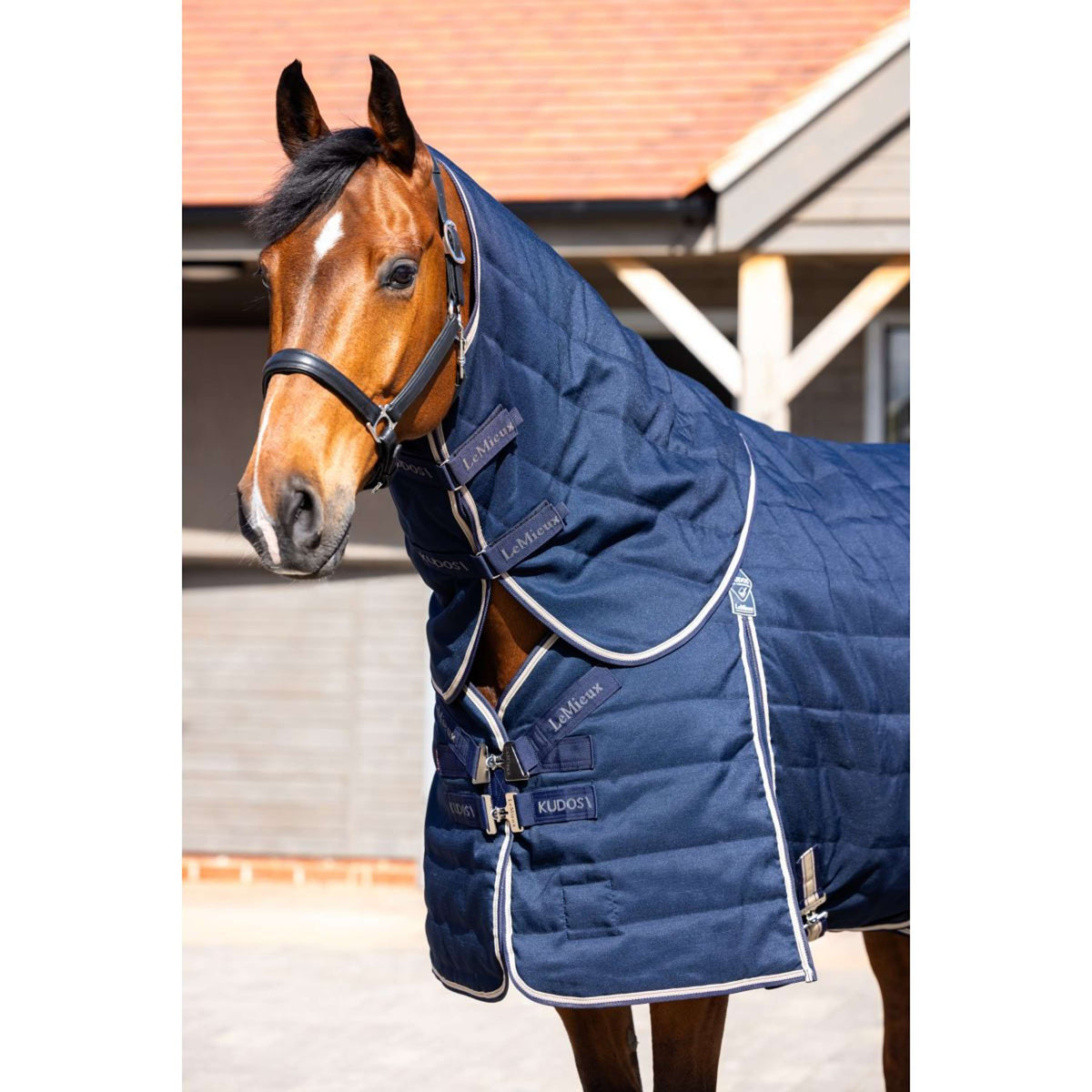LeMieux Copricollo Kudos Stable 50 g Navy