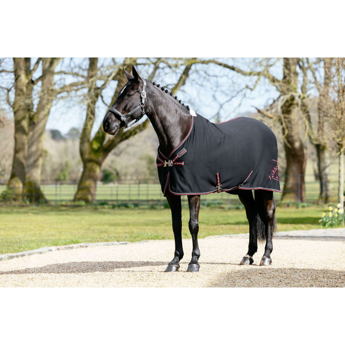 LeMieux Cooler Kudos Bamboo Nero