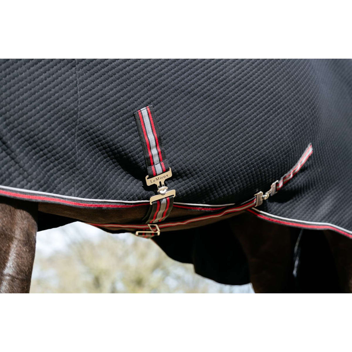 LeMieux Cooler Kudos Bamboo Nero