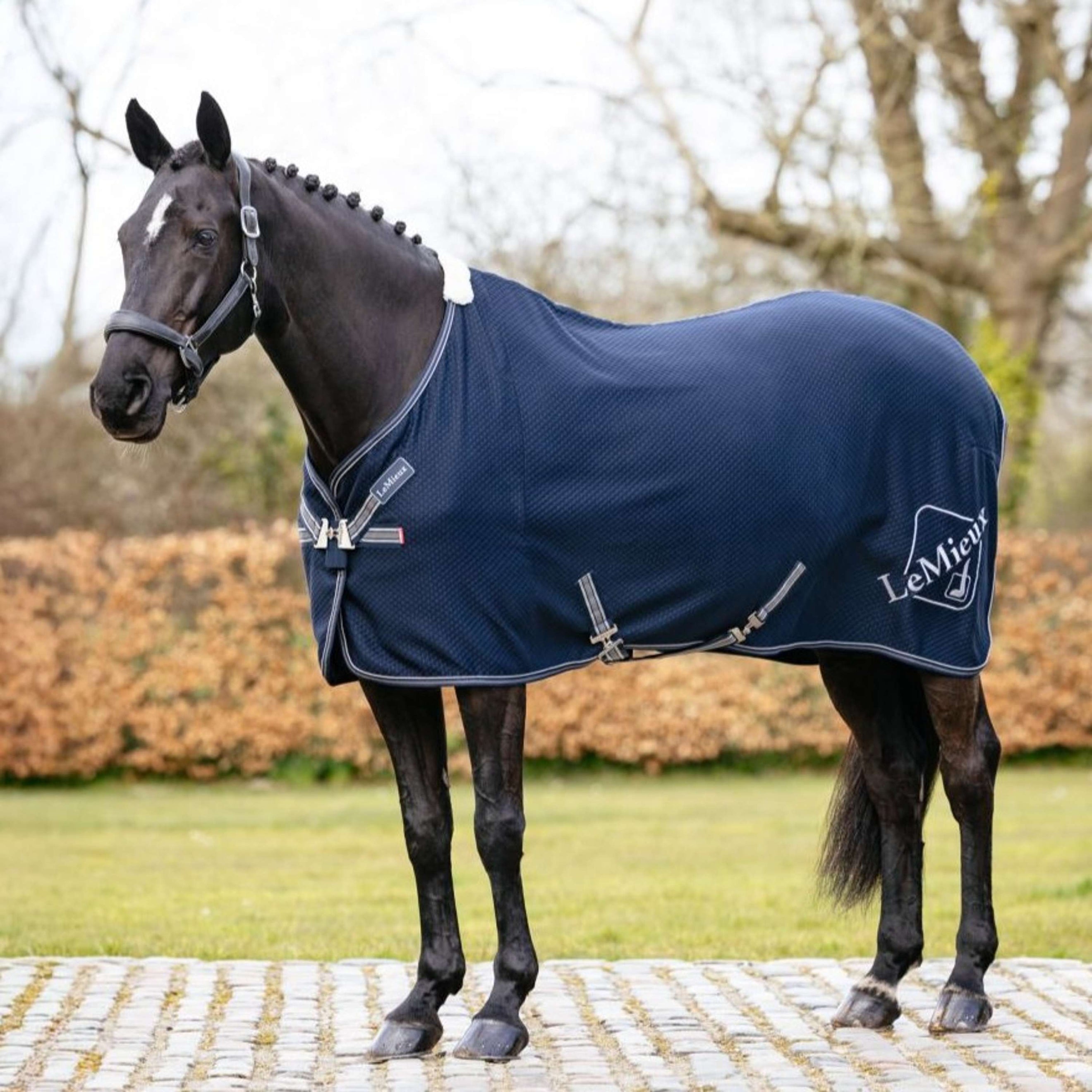 LeMieux Cooler Kudos Bamboo Navy LeMieux Cooler Kudos Bamboo Navy