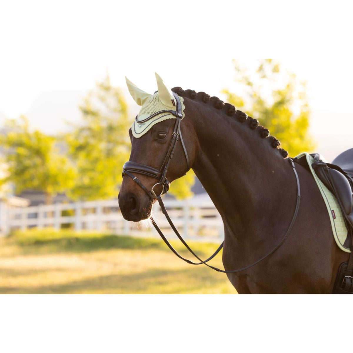 LeMieux Cuffietta Classic Macaron