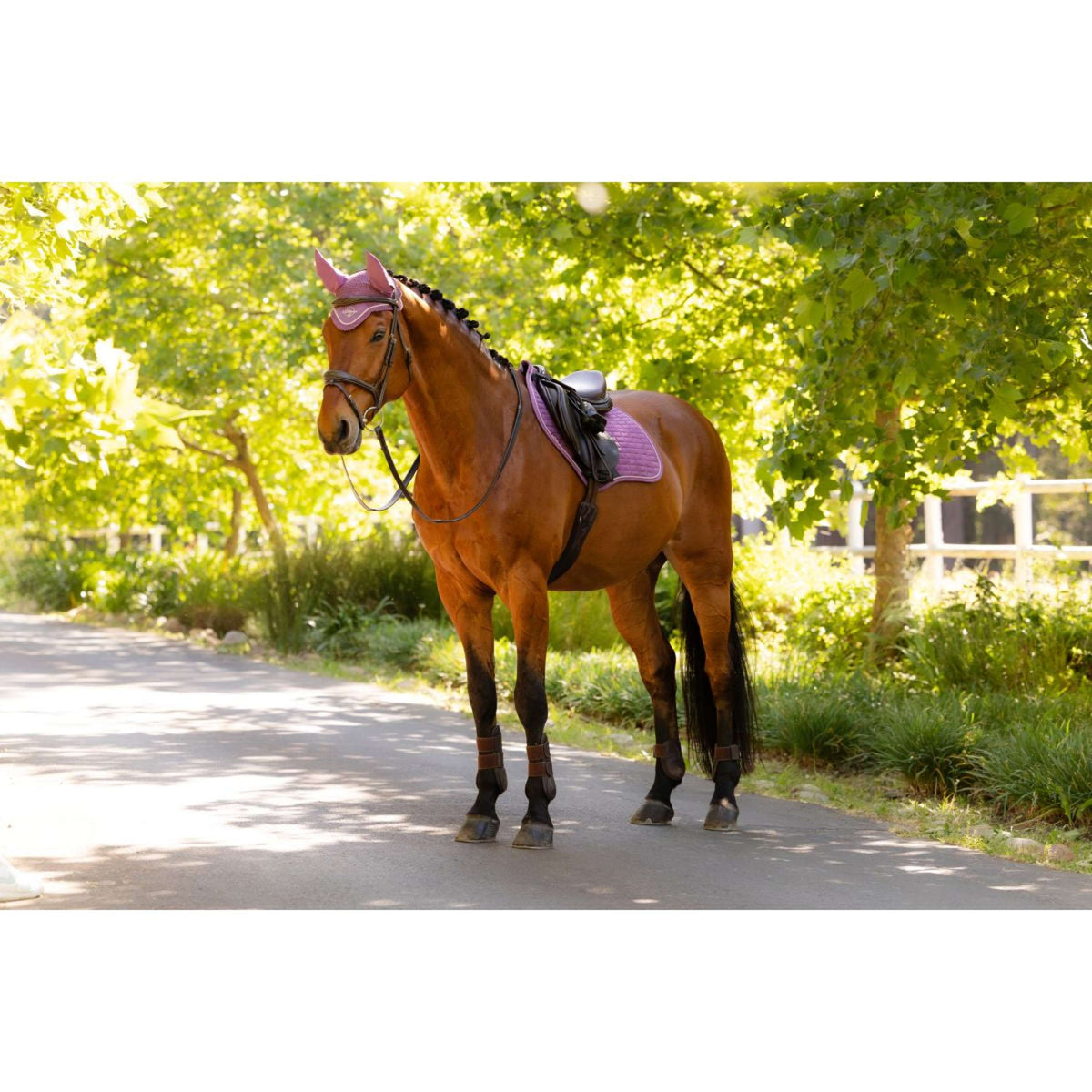 LeMieux Sottosella Suede Close Contact Square saltando Mallow