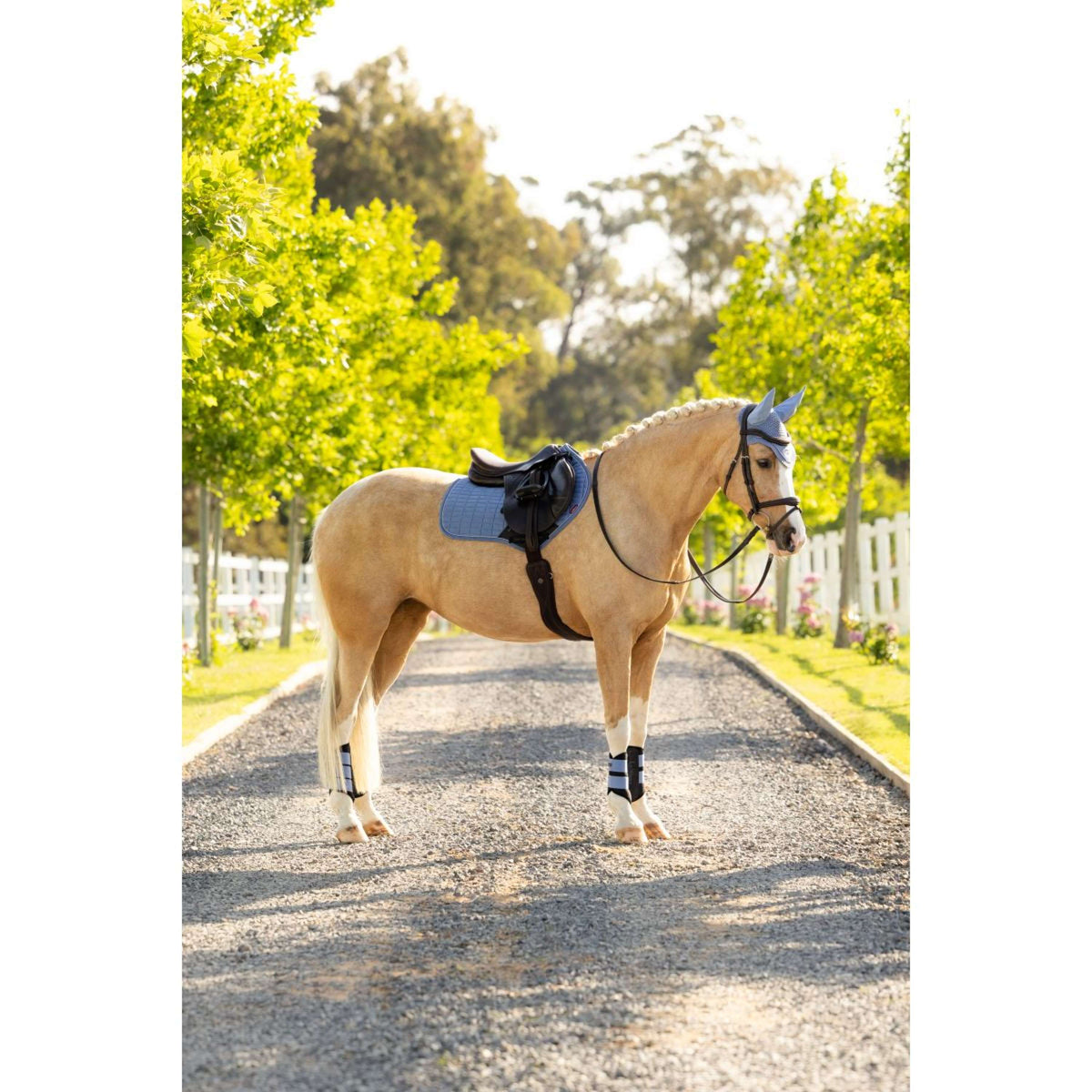 LeMieux Sottosella Suede Close Contact Square saltando Powder Blue