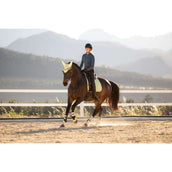 LeMieux Sottosella Suede Square Dressage Macaron