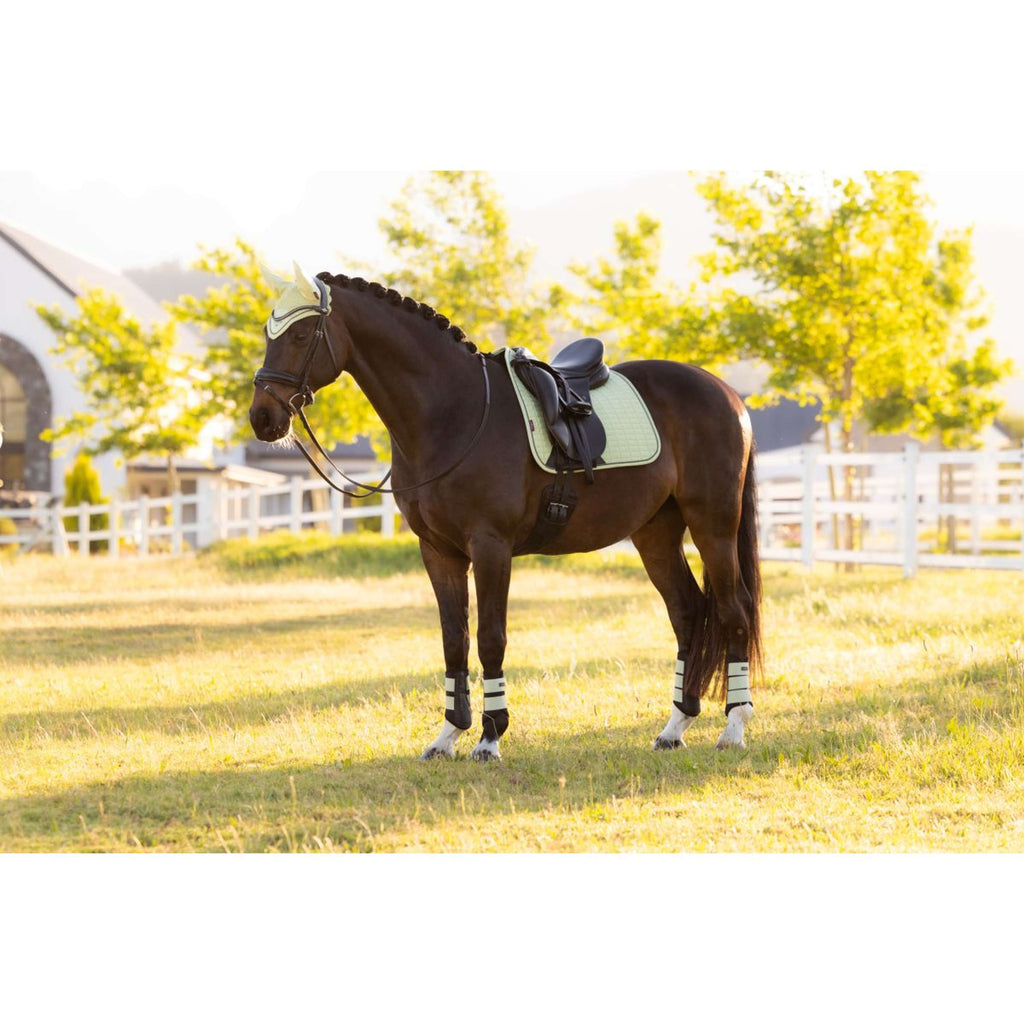 LeMieux Sottosella Suede Square Dressage Macaron