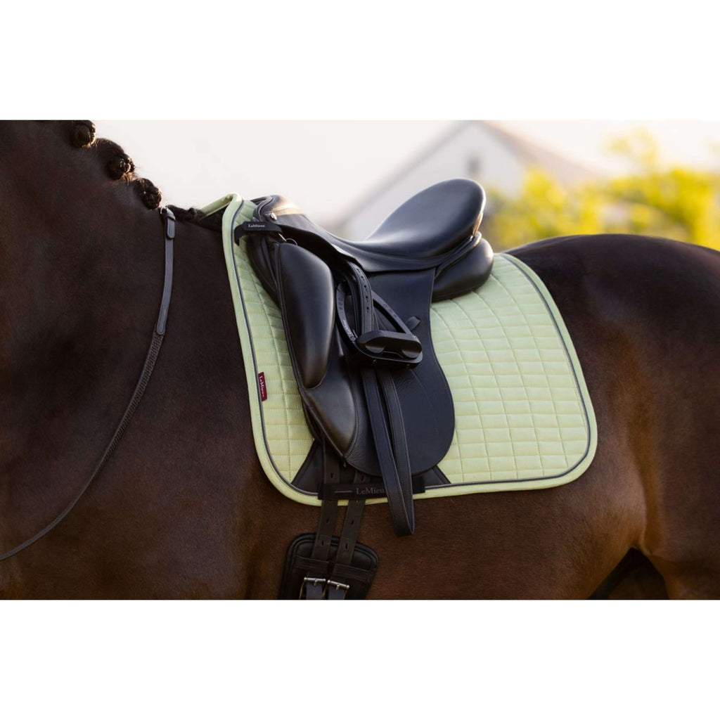 LeMieux Sottosella Suede Square Dressage Macaron