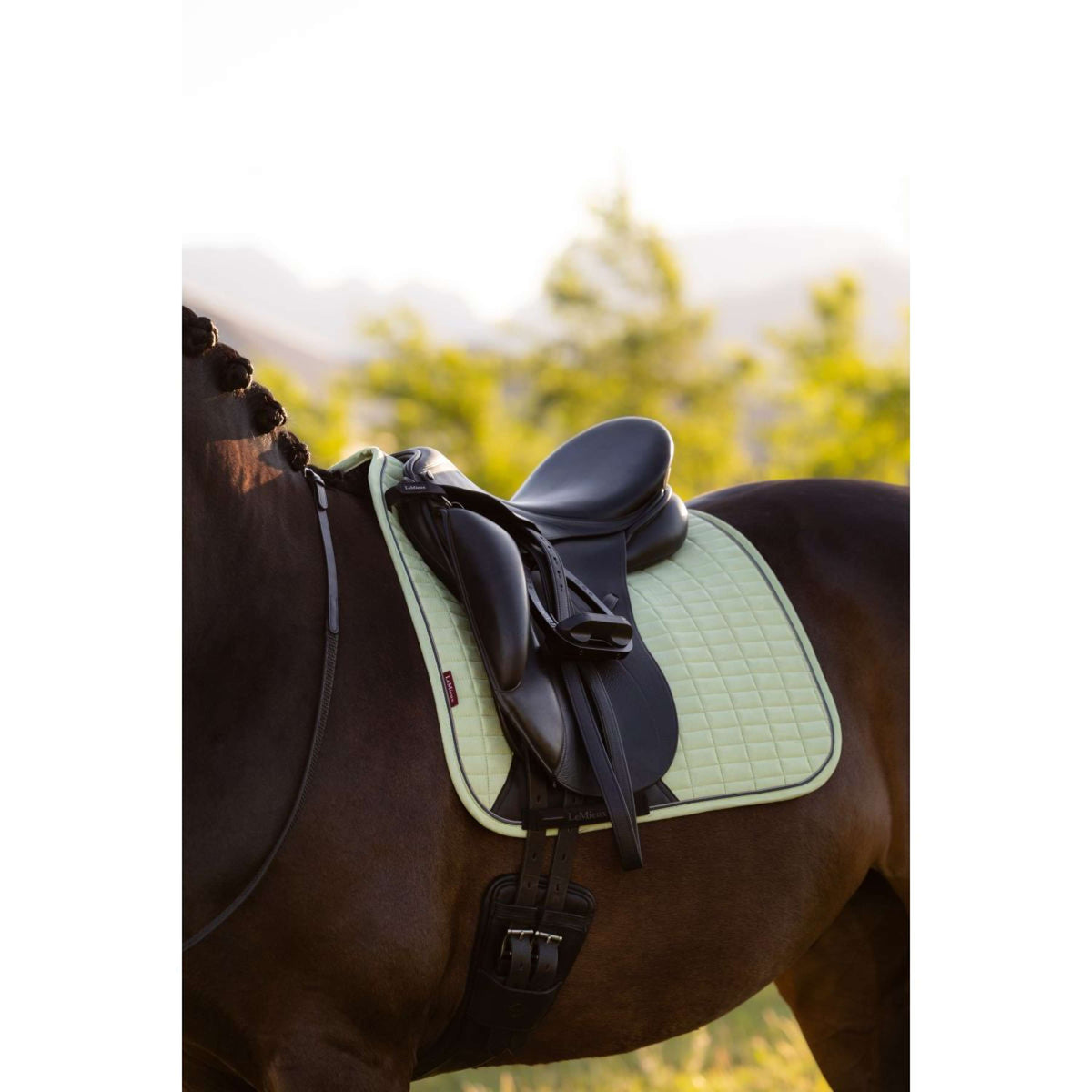 LeMieux Sottosella Suede Square Dressage Macaron