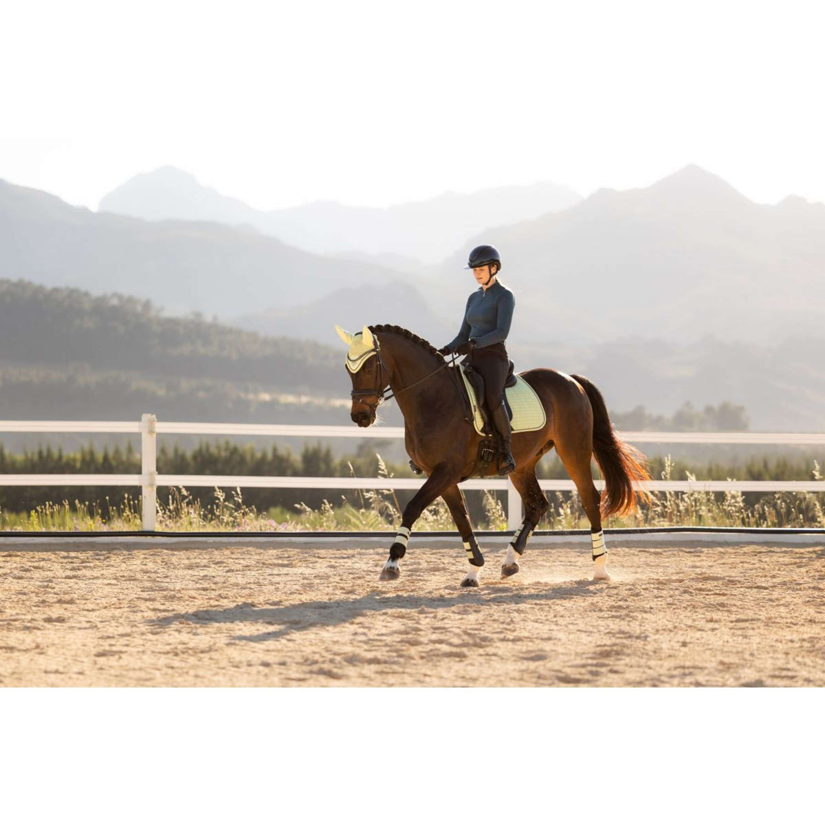 LeMieux Sottosella Suede Square Dressage Macaron