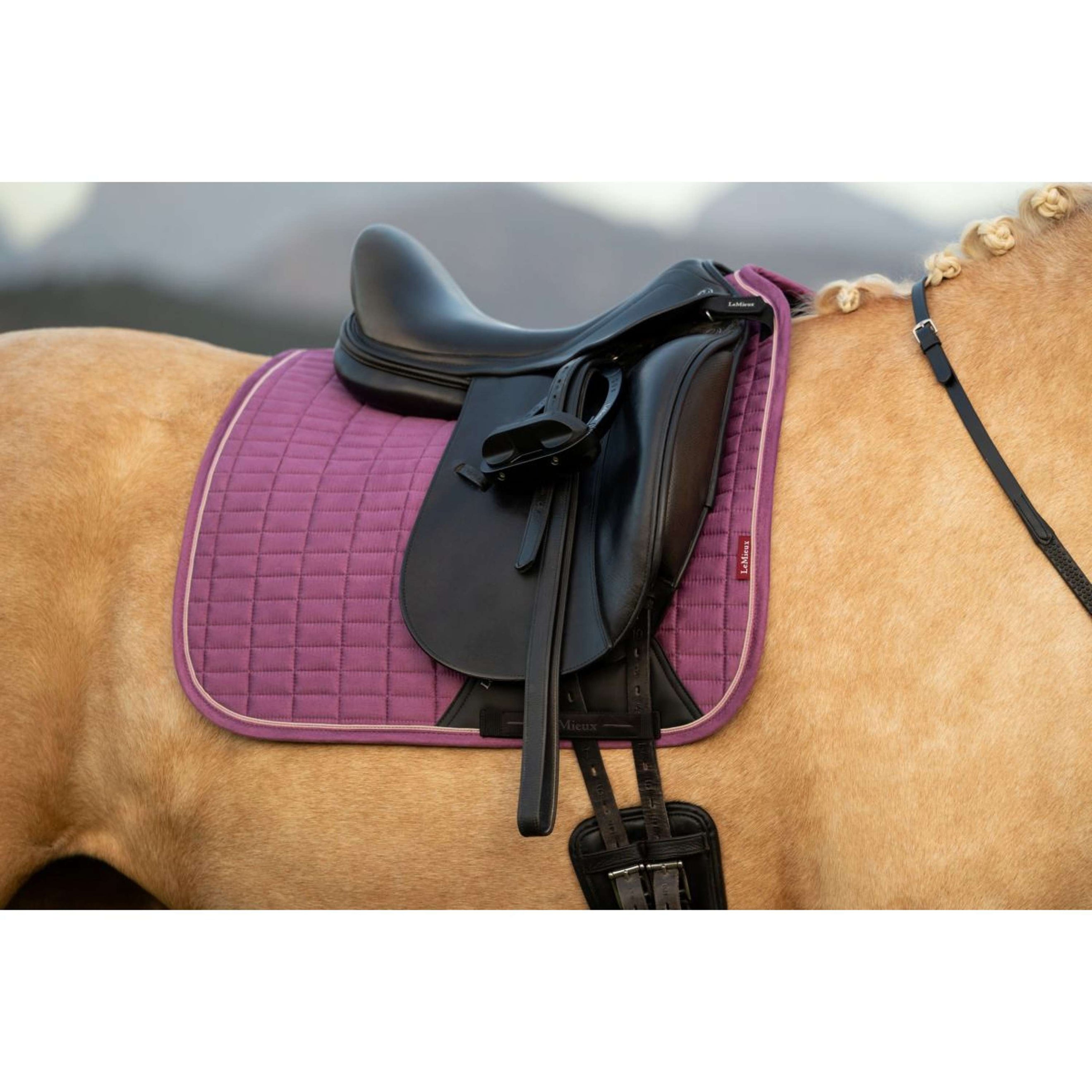 LeMieux Sottosella Suede Square Dressage Mallow