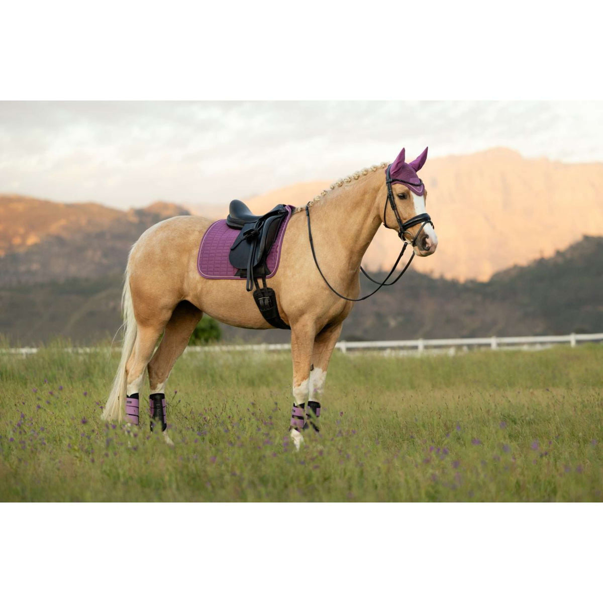 LeMieux Sottosella Suede Square Dressage Mallow