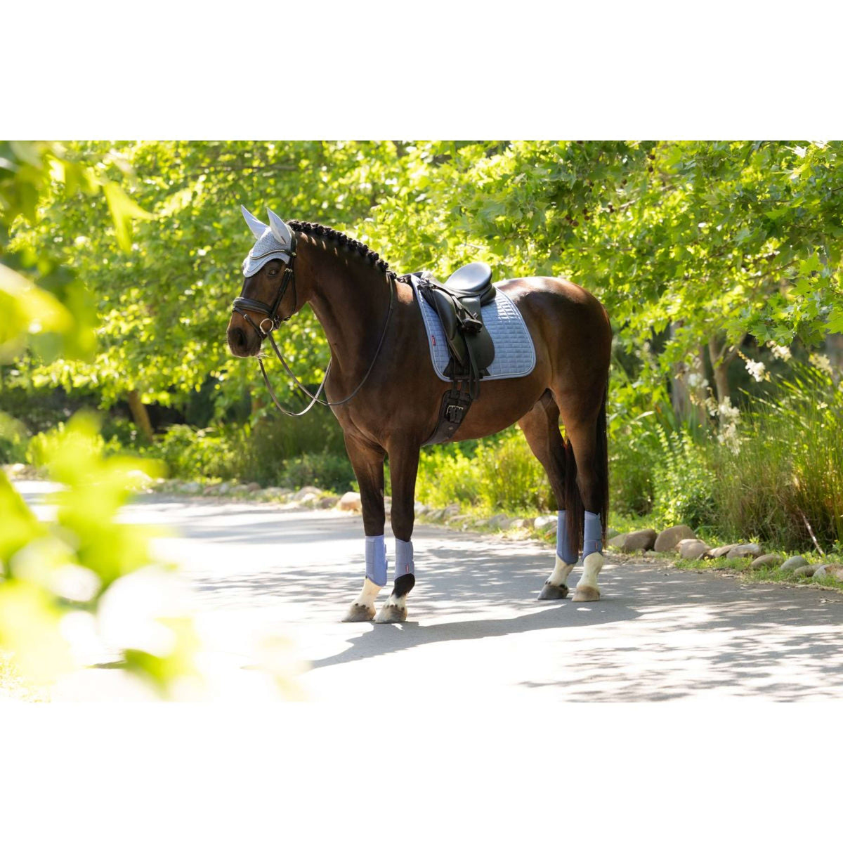 LeMieux Sottosella Suede Square Dressage Powder Blue