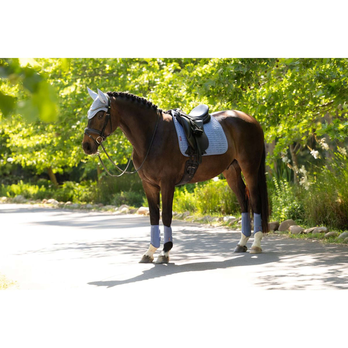 LeMieux Sottosella Suede Square Dressage Powder Blue