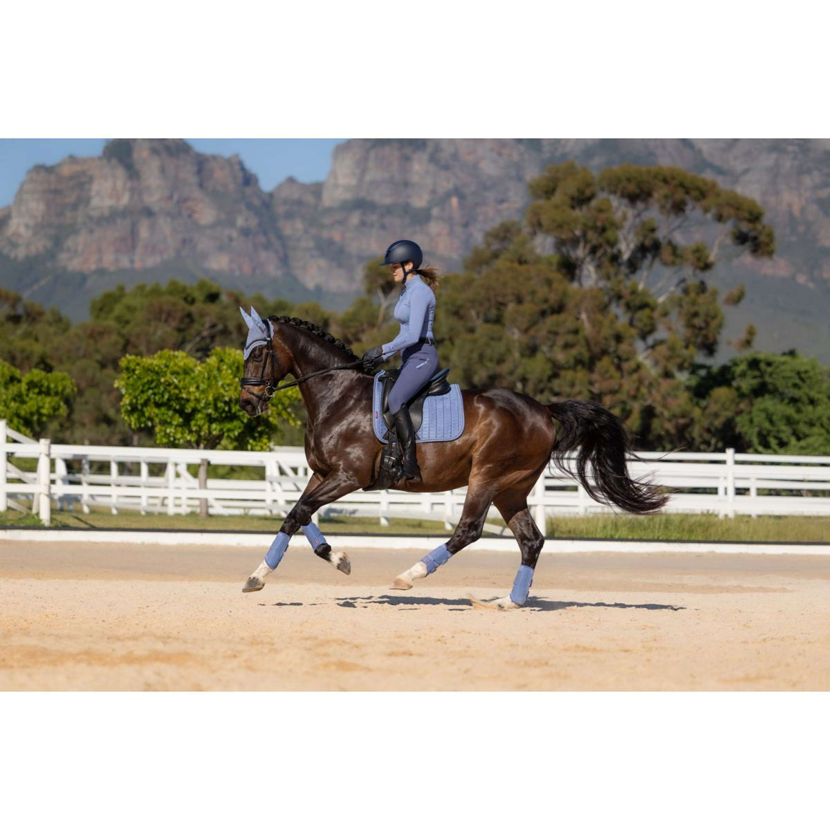 LeMieux Sottosella Suede Square Dressage Powder Blue