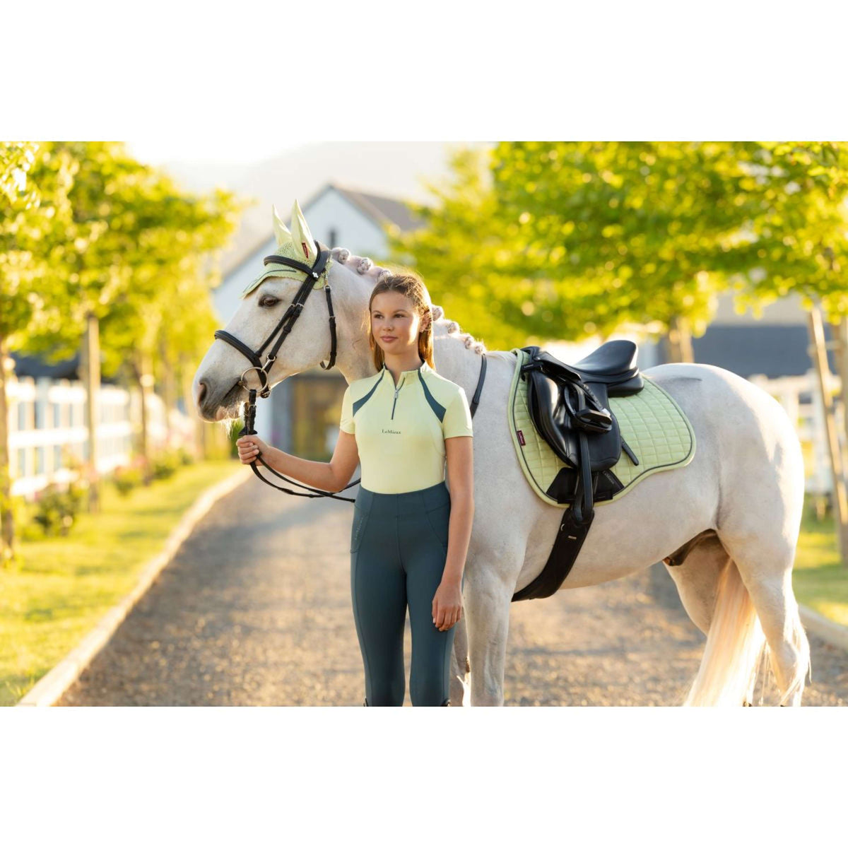 LeMieux Sottosella Suede Square Uso generale Macaron