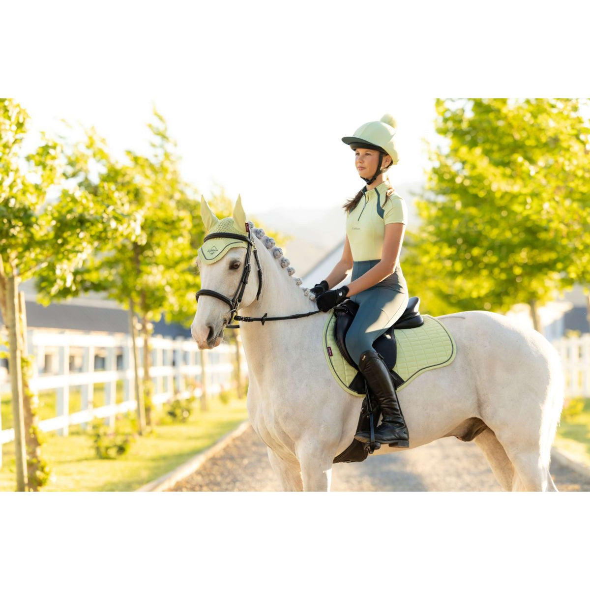 LeMieux Sottosella Suede Square Uso generale Macaron