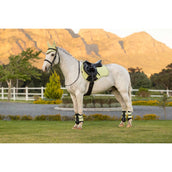 LeMieux Sottosella Suede Square Uso generale Macaron