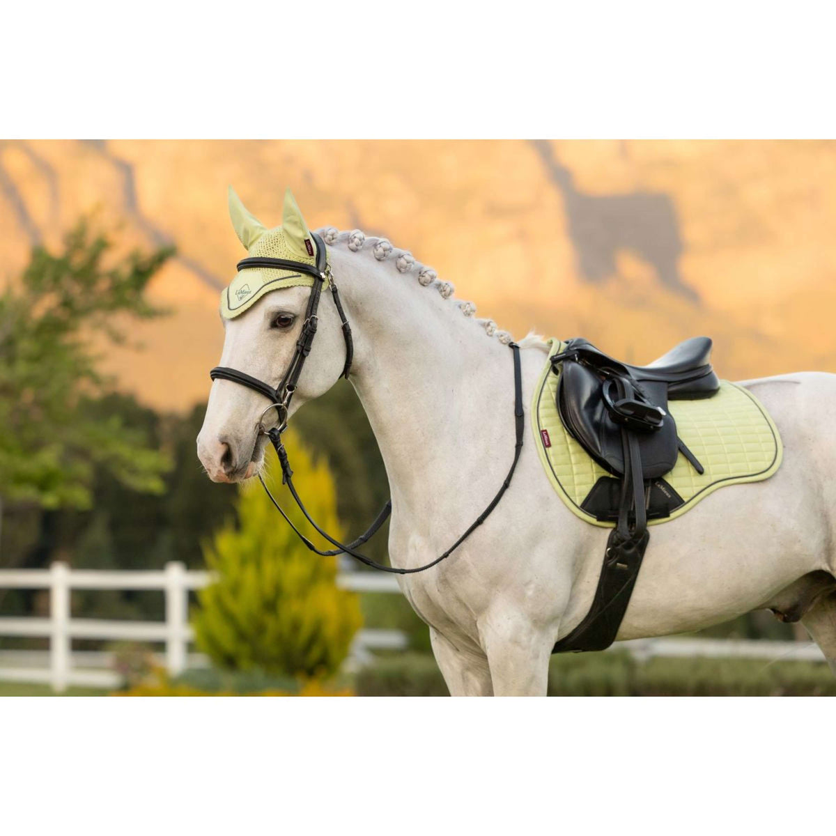 LeMieux Sottosella Suede Square Uso generale Macaron