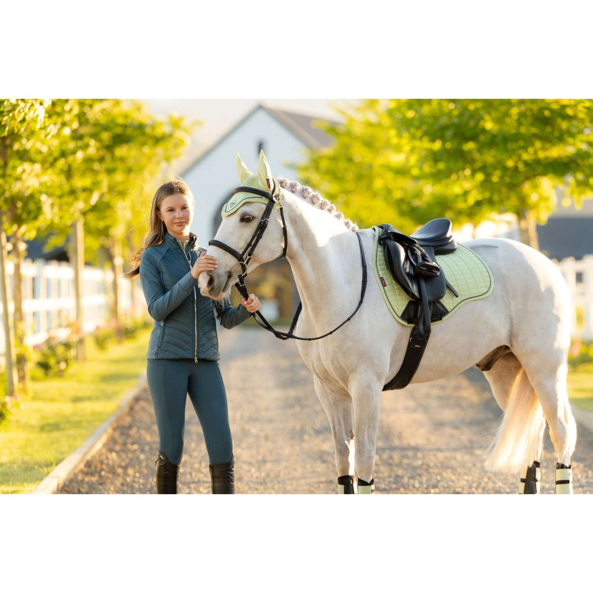 LeMieux Sottosella Suede Square Uso generale Macaron