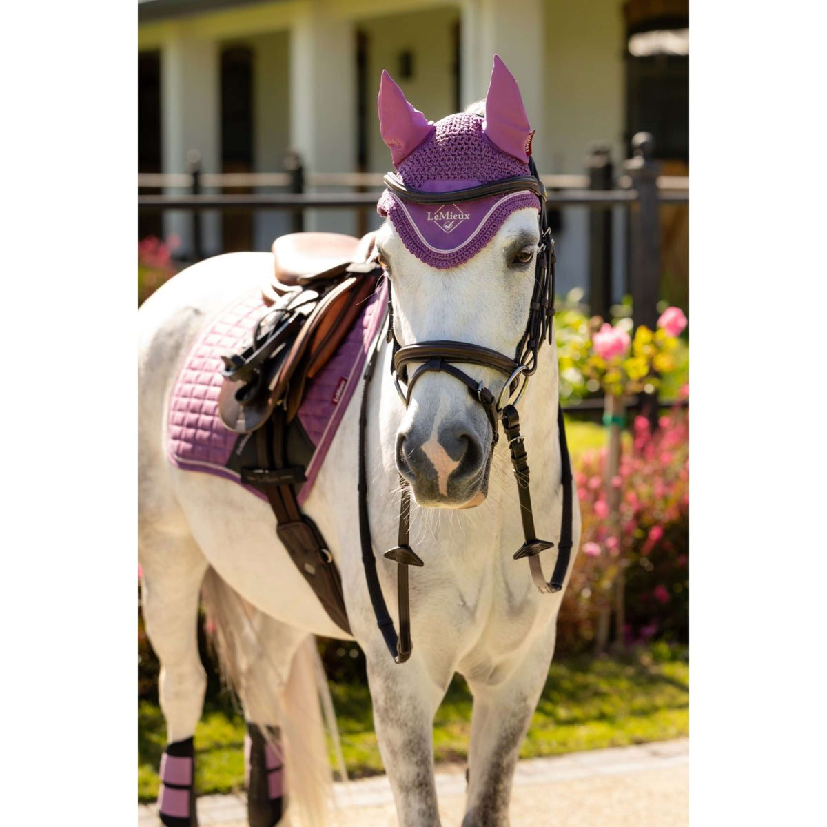 LeMieux Cuffietta Mini Classic Mallow