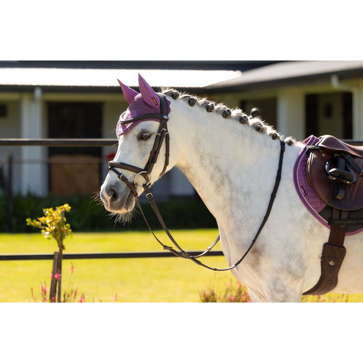 LeMieux Cuffietta Mini Classic Mallow