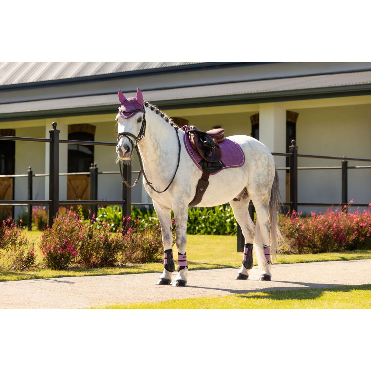 LeMieux Sottosella Mini Suede Close Contact Square saltando Mallow