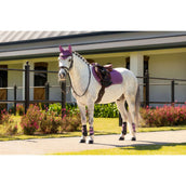 LeMieux Sottosella Mini Suede Close Contact Square saltando Mallow