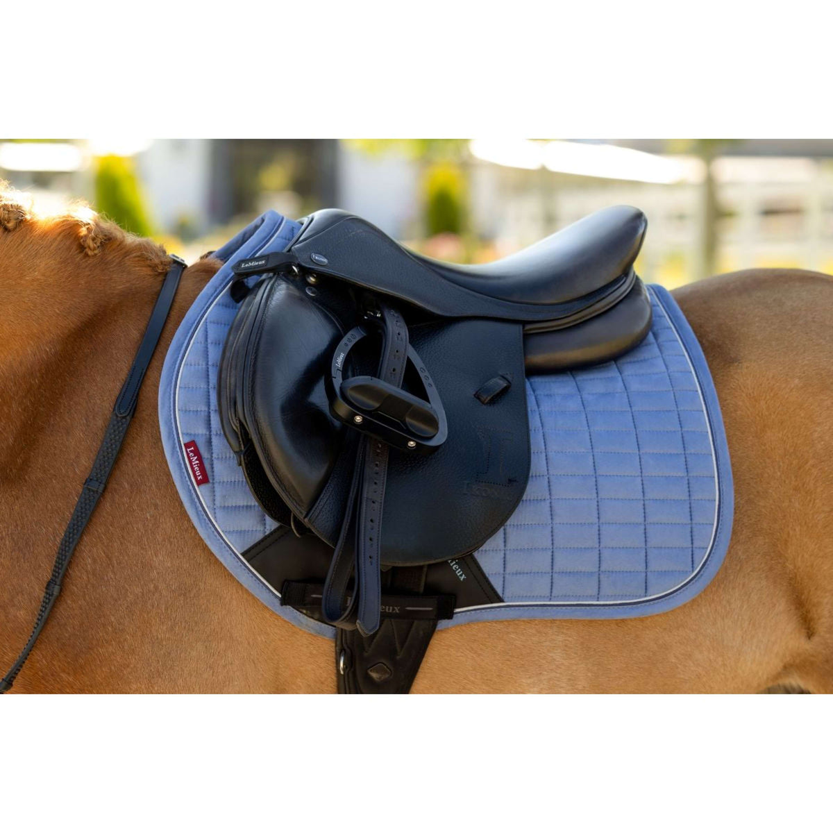 LeMieux Sottosella Mini Suede Close Contact Square saltando Powder Blue