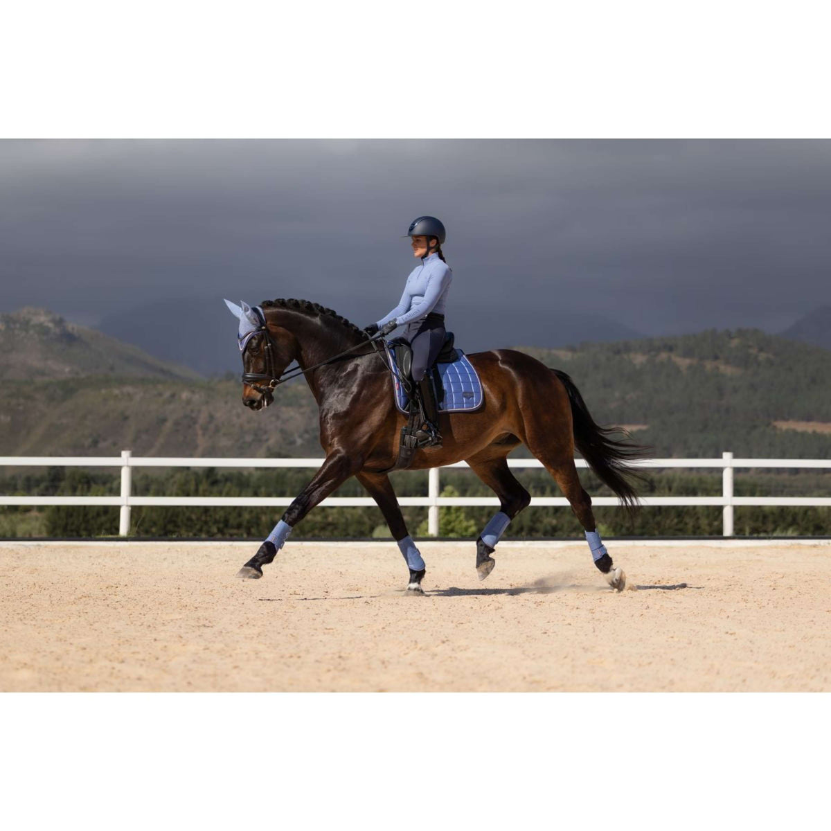 LeMieux Sottosella Loire Classic Square Dressage Powder Blue