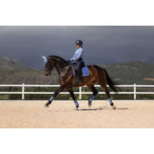 LeMieux Sottosella Loire Classic Square Dressage Powder Blue