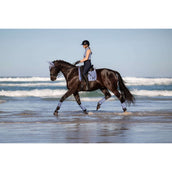 LeMieux Sottosella Loire Classic Square Dressage Powder Blue