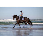 LeMieux Sottosella Loire Classic Square Dressage Powder Blue