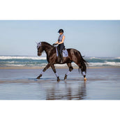 LeMieux Sottosella Loire Classic Square Dressage Powder Blue