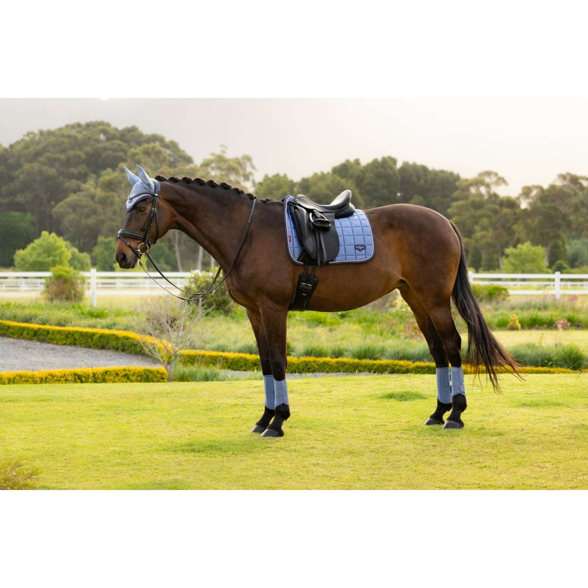 LeMieux Sottosella Loire Classic Square Dressage Powder Blue