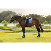 LeMieux Sottosella Loire Classic Square Dressage Powder Blue