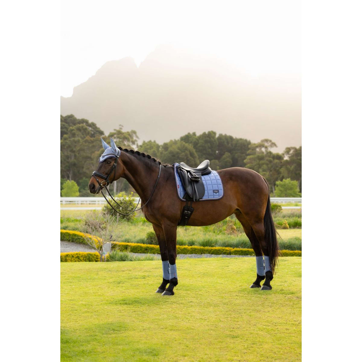 LeMieux Sottosella Loire Classic Square Dressage Powder Blue