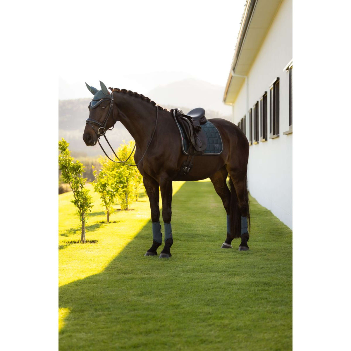 LeMieux Sottosella Loire Classic Square Dressage Jungle