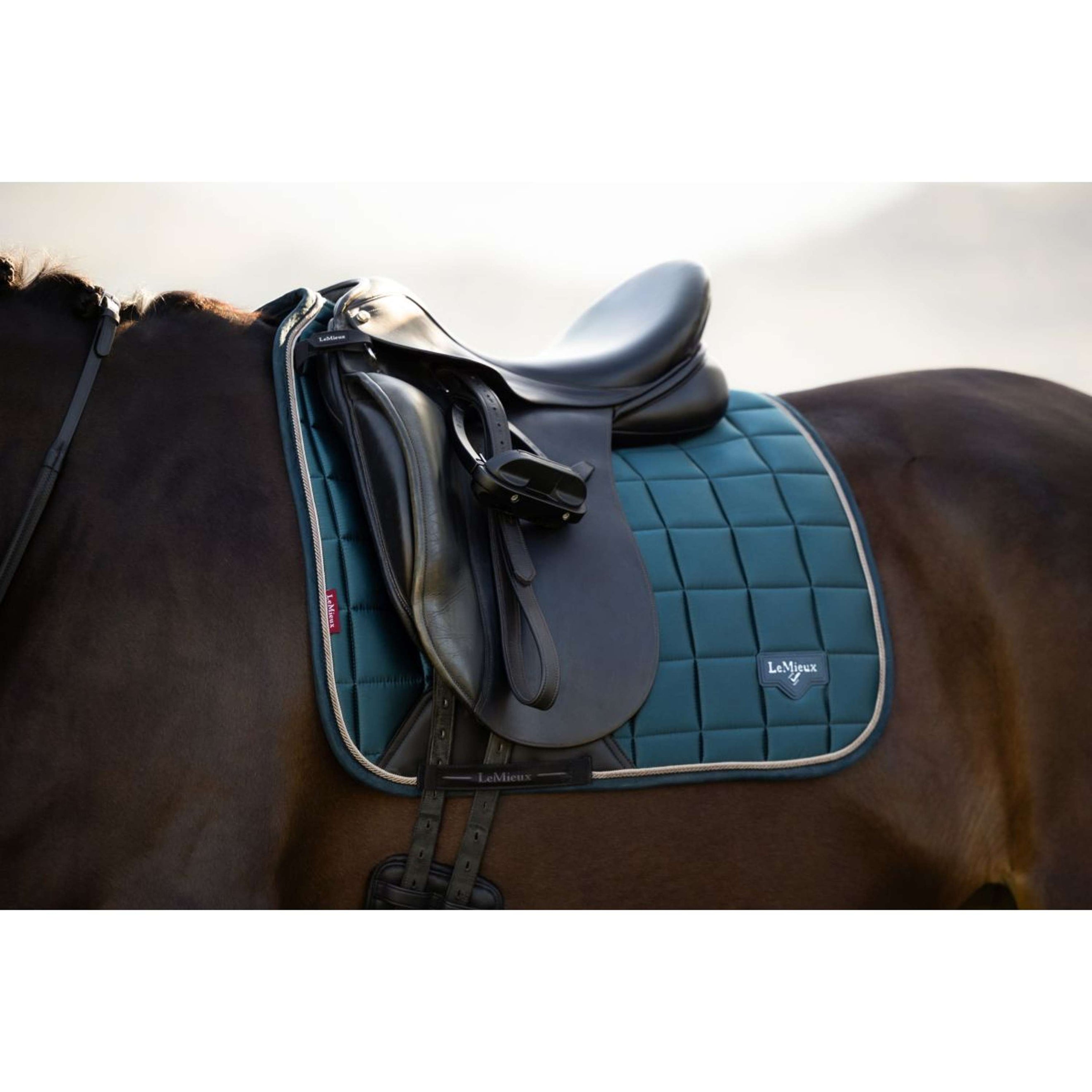 LeMieux Sottosella Loire Classic Square Dressage Jungle