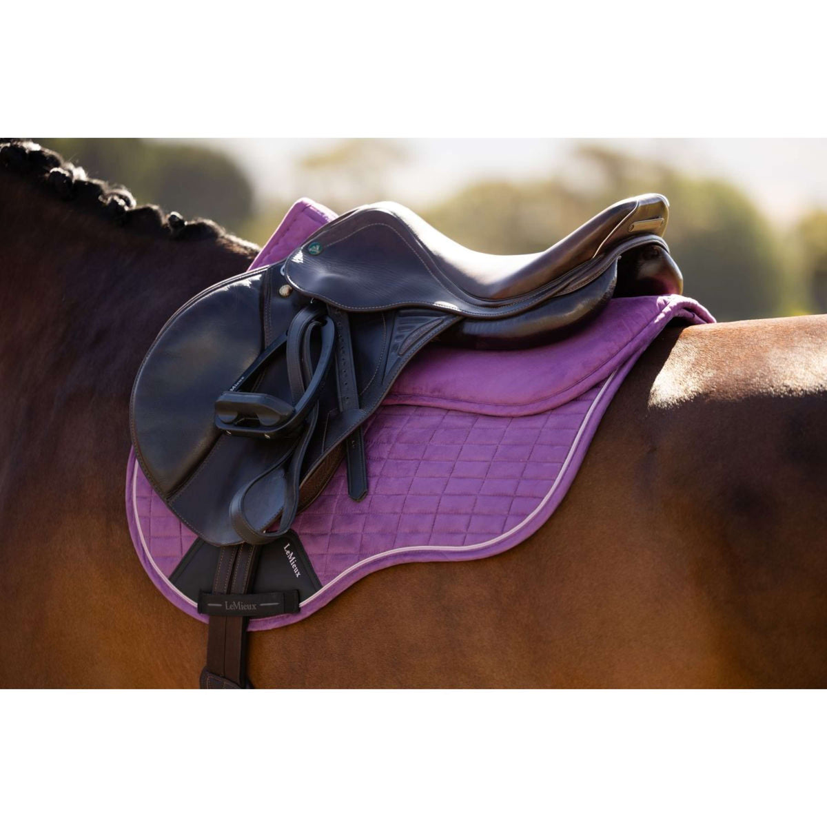 LeMieux Sottosella Suede Mallow