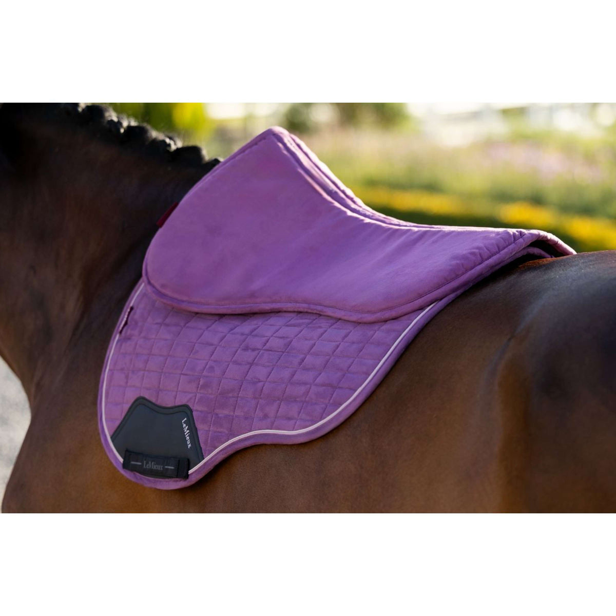 LeMieux Sottosella Suede Mallow
